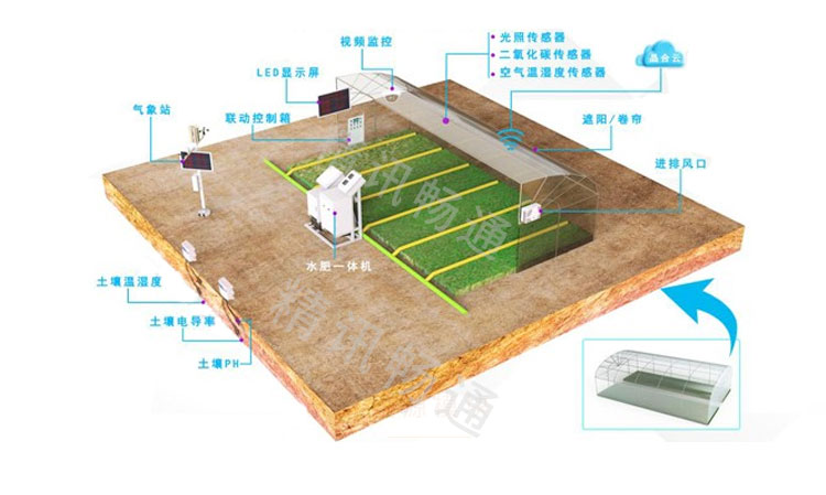智慧温室大棚解决方案